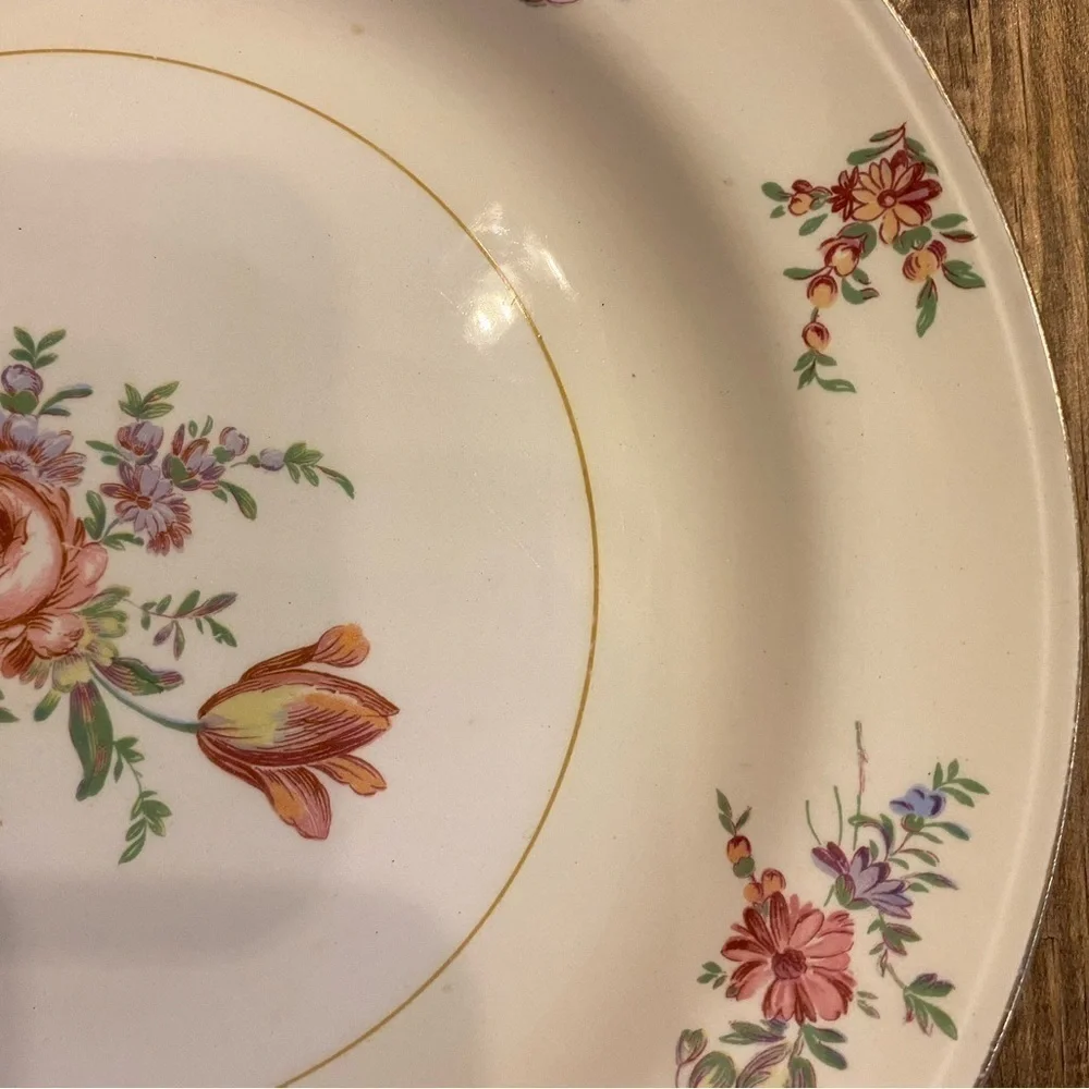 Household Institute Priscilla pattern decorative China. Pink Roses on cream EUC